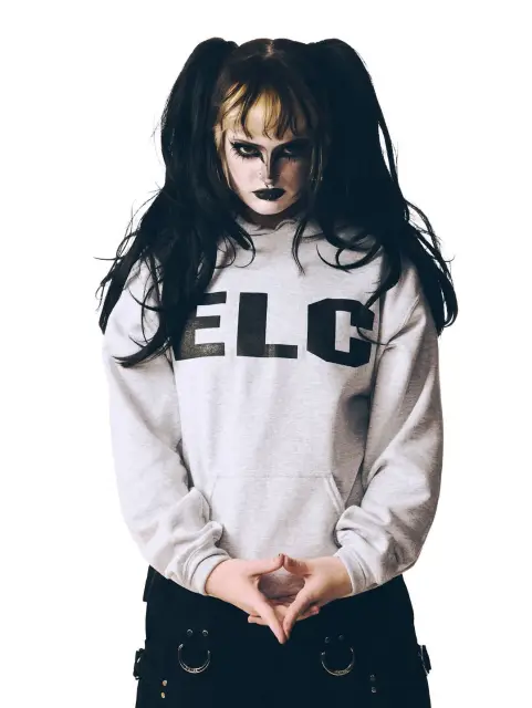 Nettspend ELC Hooded Sweatshirt (Grey) detail image 2