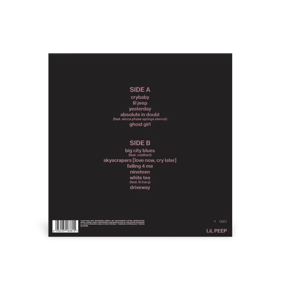 Lil Peep Crybaby (10 Year Anniversary 2LP Zoetrope Edition) detail image 4
