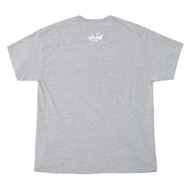 SALEM American Tee (Grey) detail image 2
