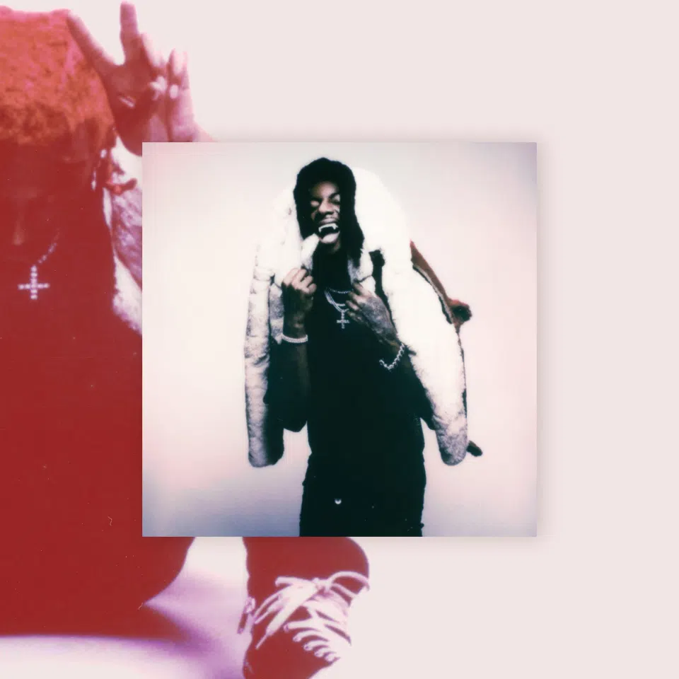 Playboi Carti - "Whole Lotta Red" IVC Edition detail image 5