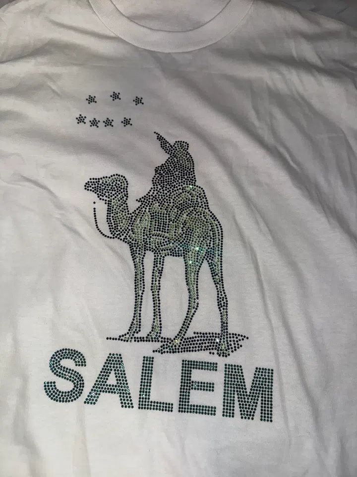 SALEM Rhinestone Silk road Tee (white) detail image 3