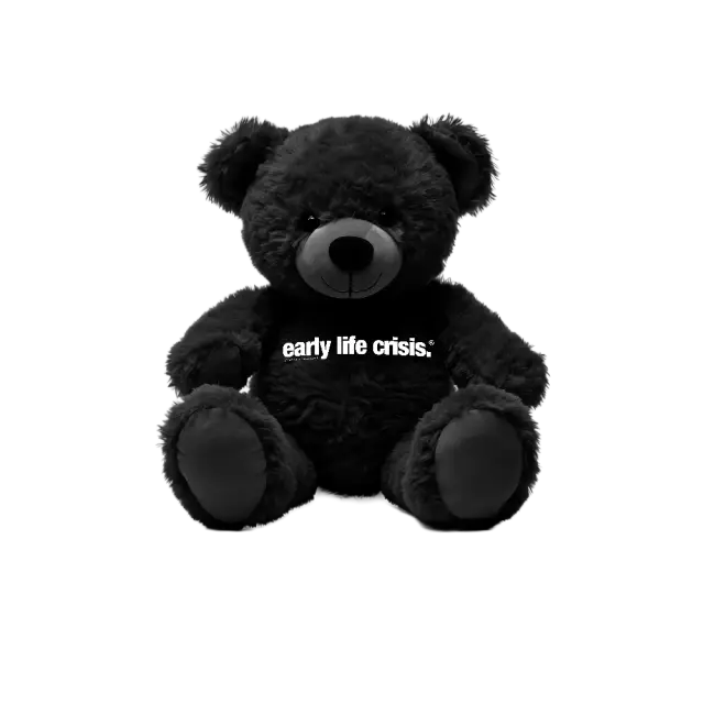 Nettspend Early Life Crisis Teddy Bear