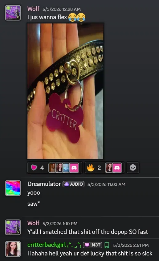 CR1TTER Choker with Dog Bone Tag: This is a screenshot from the cr1tter official Discord server. It looks weird because there is a skin on this Discord client.