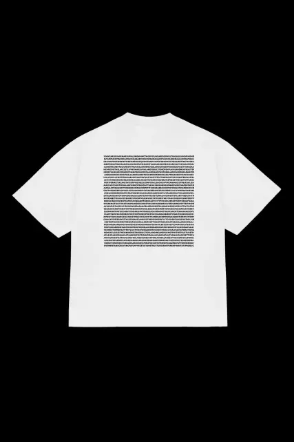 Nettspend Australian Tour Tee (White) detail image 2