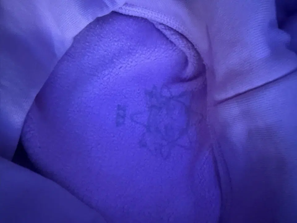 Che Sayso Says Cat Hoodie (Pink) detail image 4