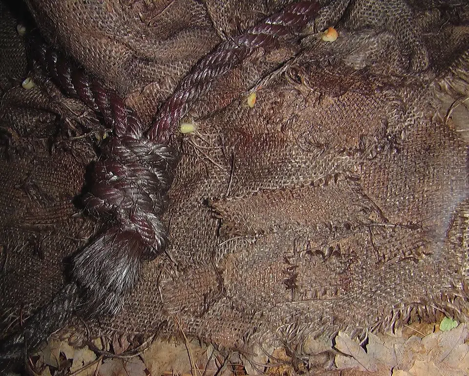 JJ VALHALLA Scarecraw Mask & Gloves detail image 2