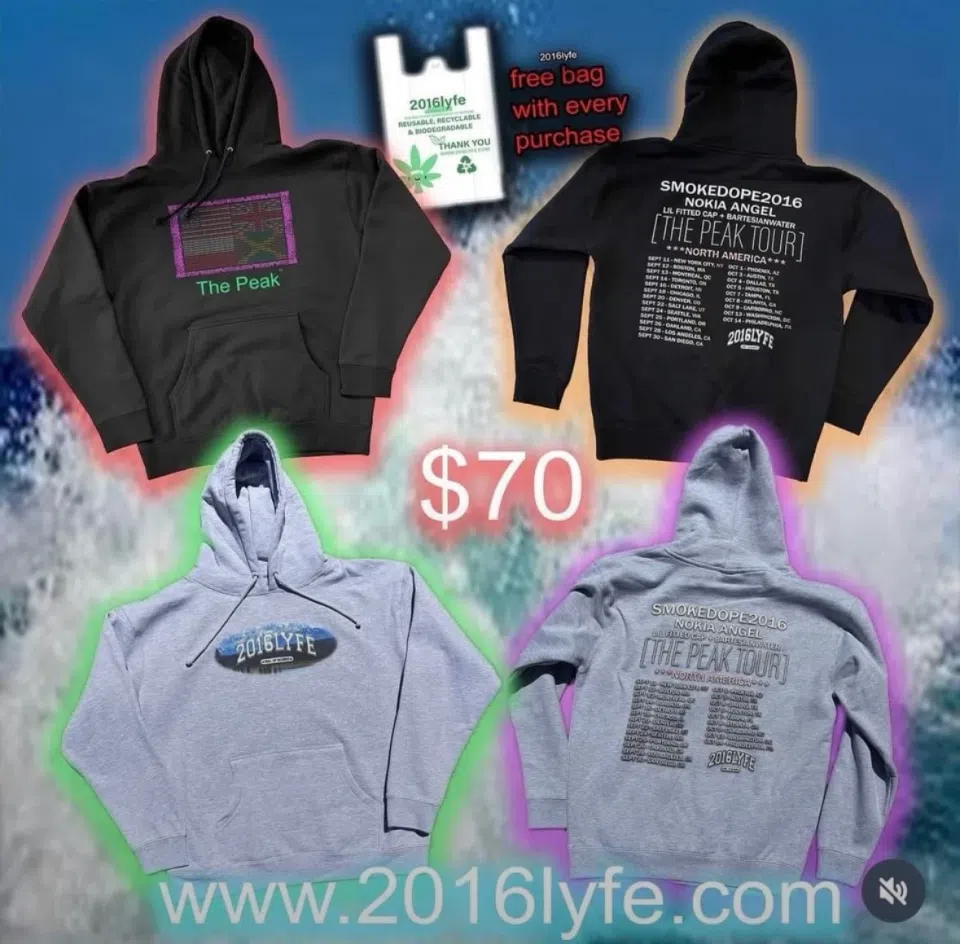 2016LYFE Oval Peak Tour Hoodie (Grey) detail image 5