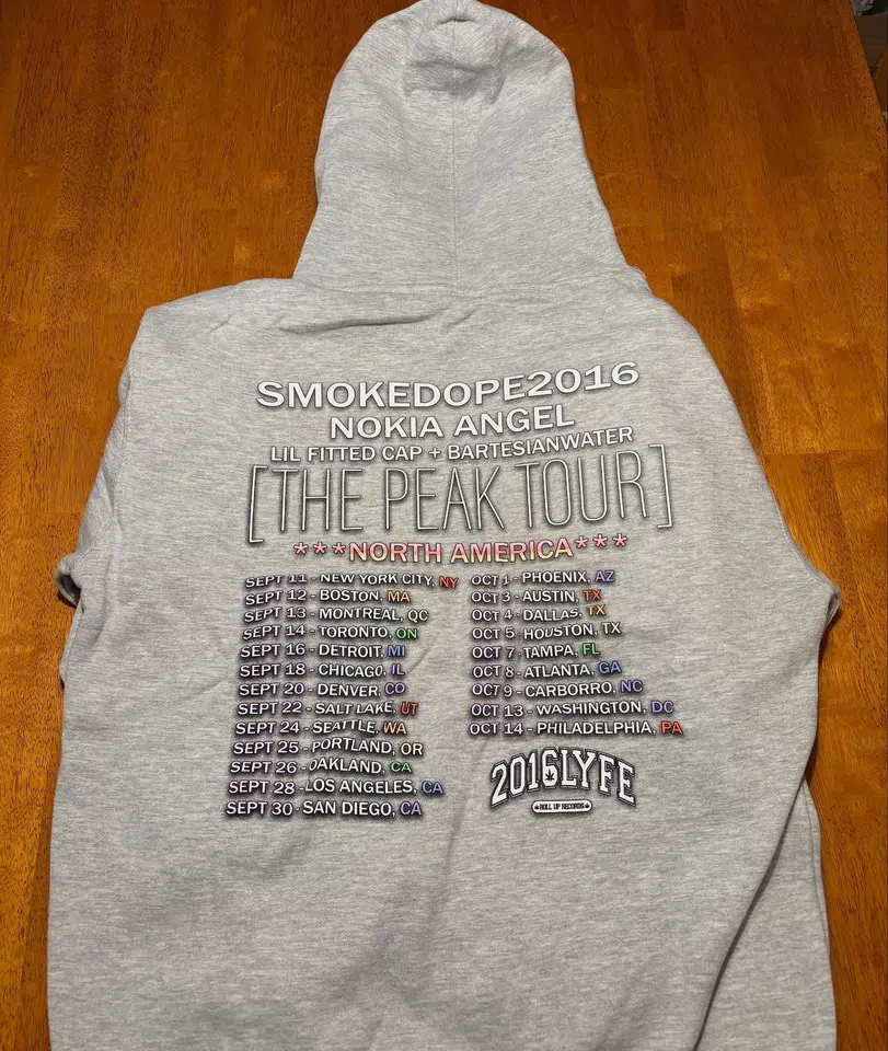 2016LYFE Oval Peak Tour Hoodie (Grey) detail image 3
