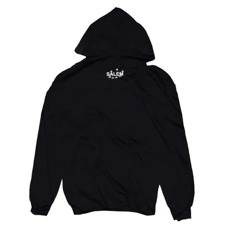 SALEM Collegiate Hoodie Tricolor detail image 2