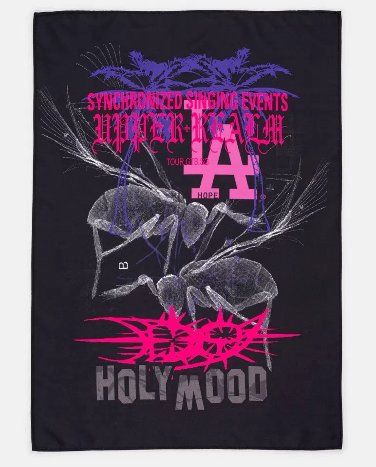 D9 LA Flag