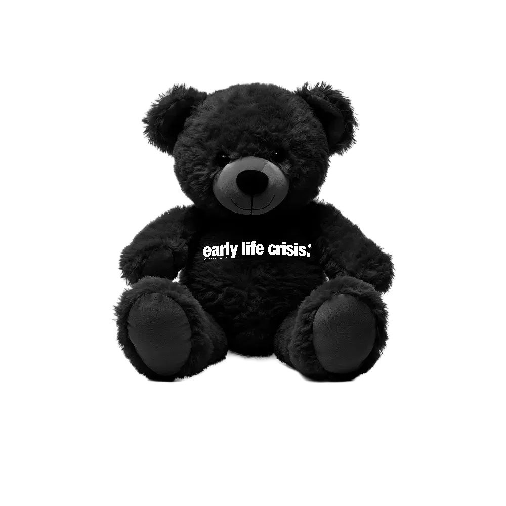 Nettspend Early Life Crisis Teddy Bear