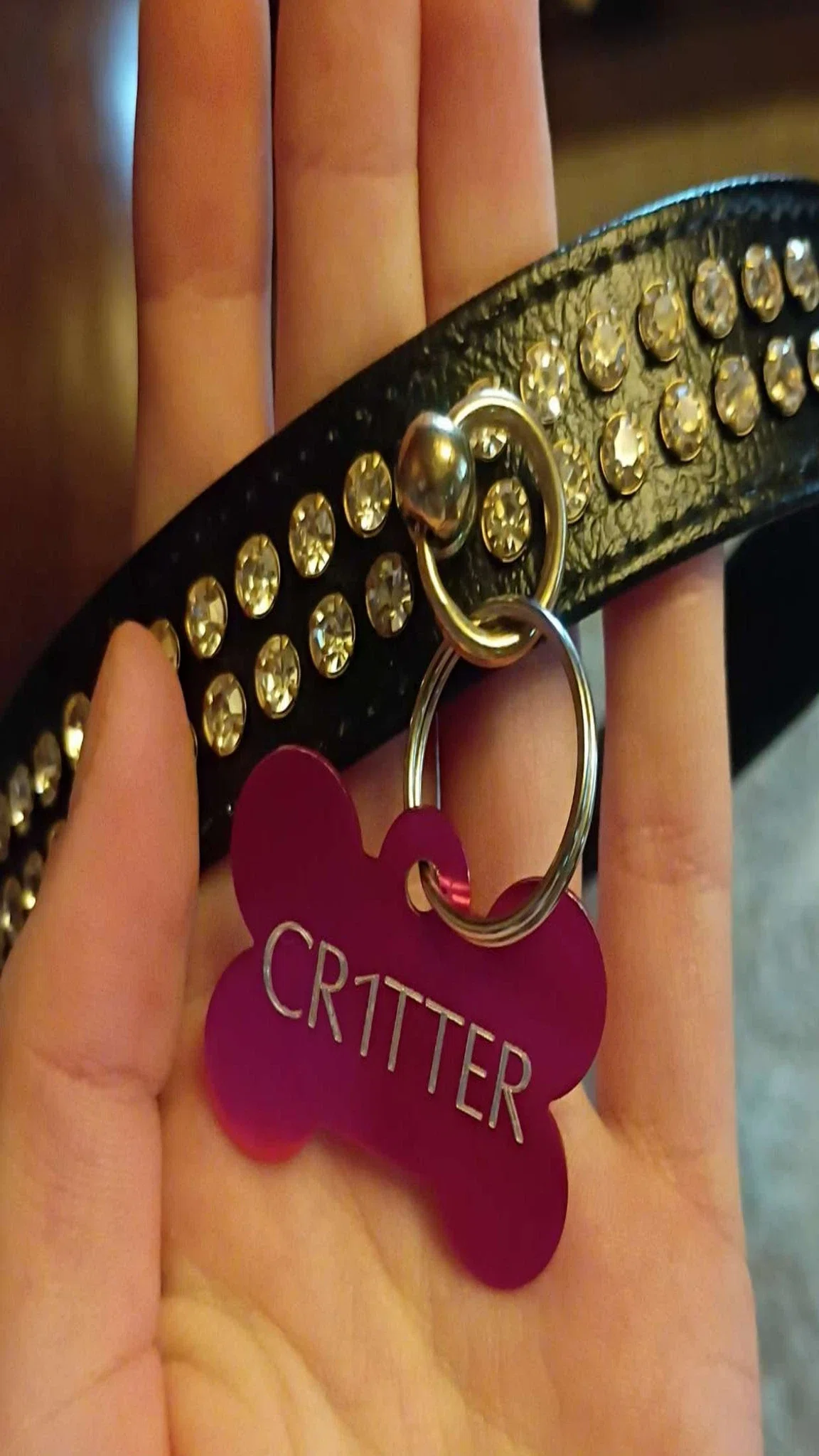 CR1TTER Choker with Dog Bone Tag primary image