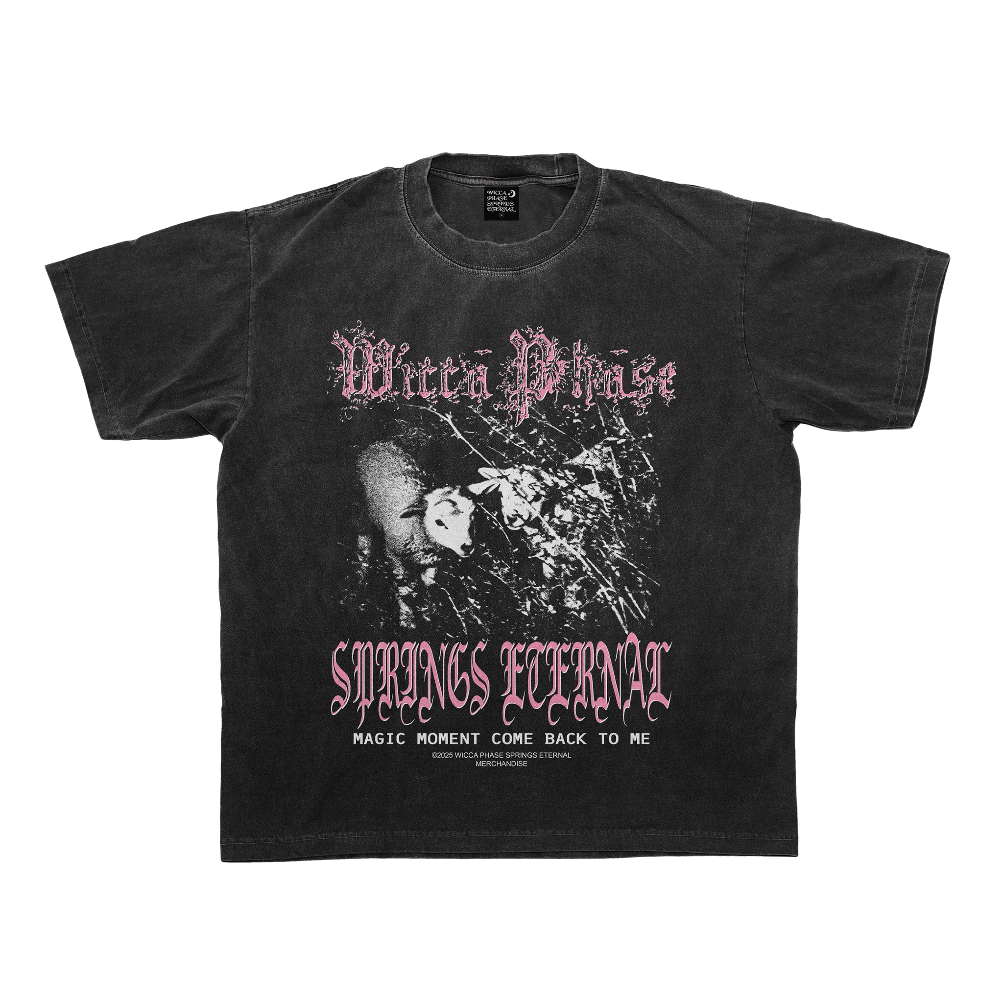 Wicca Phase Springs Eternal Lost Inside a Magic Moment T-Shirt