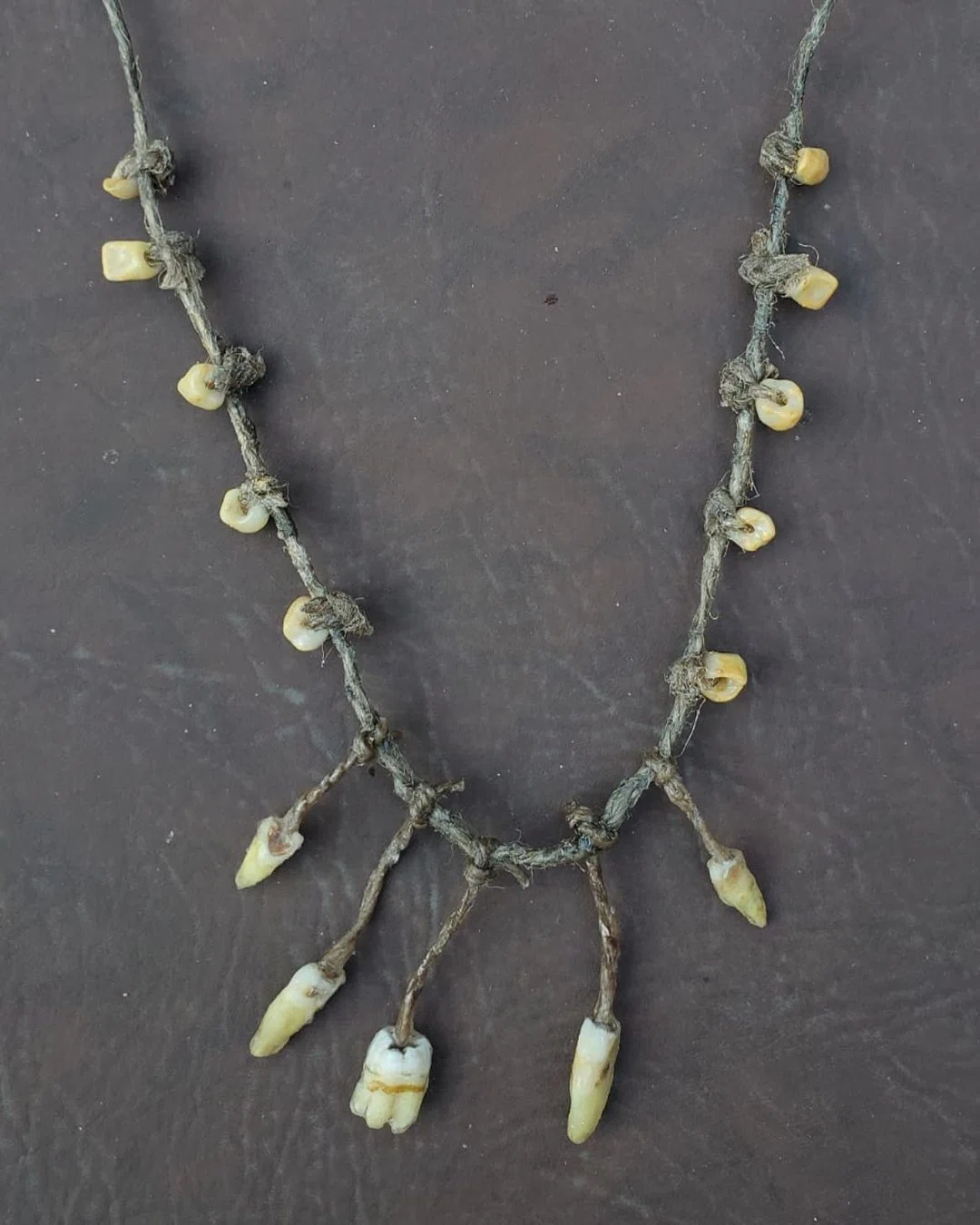 JJ VALHALLA Human Teeth Scarecrow Toothtaker Necklace primary image